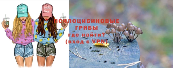 прущие грибы Зеленокумск