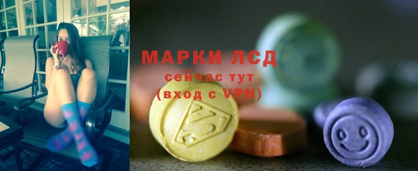 прущие грибы Зеленокумск