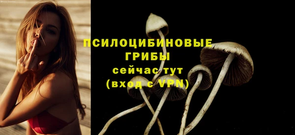 прущие грибы Зеленокумск