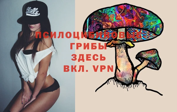 mdpv Зеленодольск