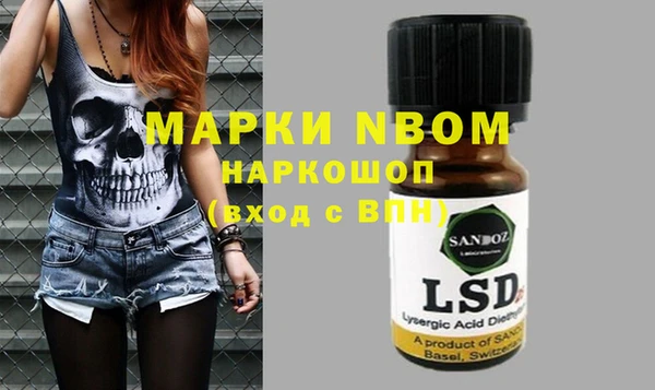 прущие грибы Зеленокумск