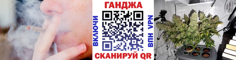 Купить где  Топки  Канабис семена 